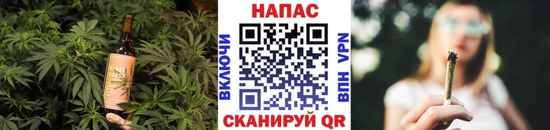 Cannafood конопля  Новая Ладога 