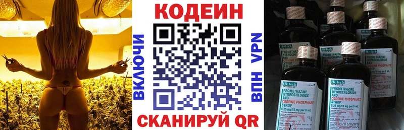 где продают наркотики  кракен сайт  Кодеин напиток Lean (лин)  Новая Ладога 