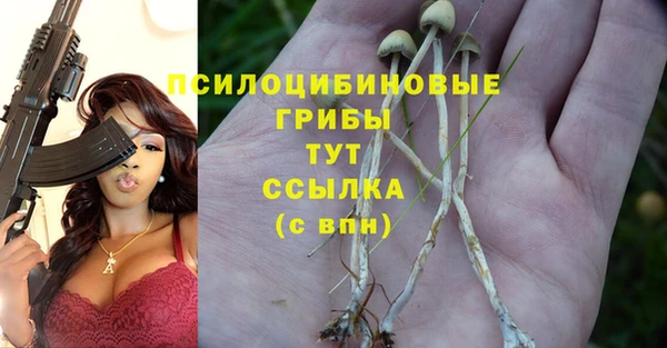 кристаллы Горнозаводск