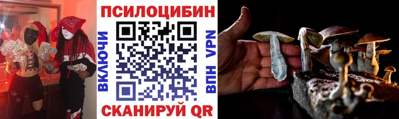 Галлюциногенные грибы мицелий  это телеграм  Новая Ладога 